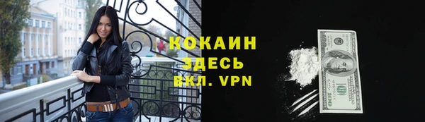 тгк Алексин