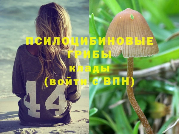 гашишное масло Алзамай
