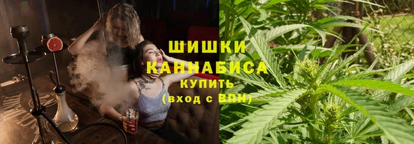 ПСИЛОЦИБИНОВЫЕ ГРИБЫ Осташков