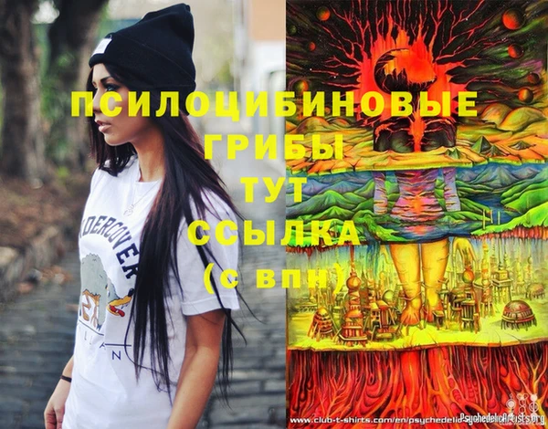 тгк Алексин
