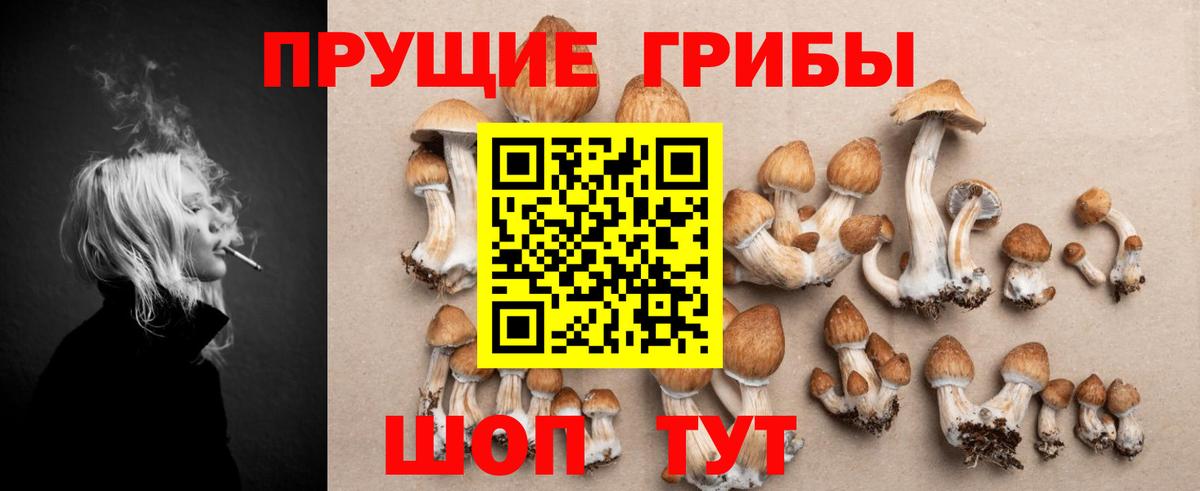 Галлюциногенные грибы GOLDEN TEACHER Владивосток